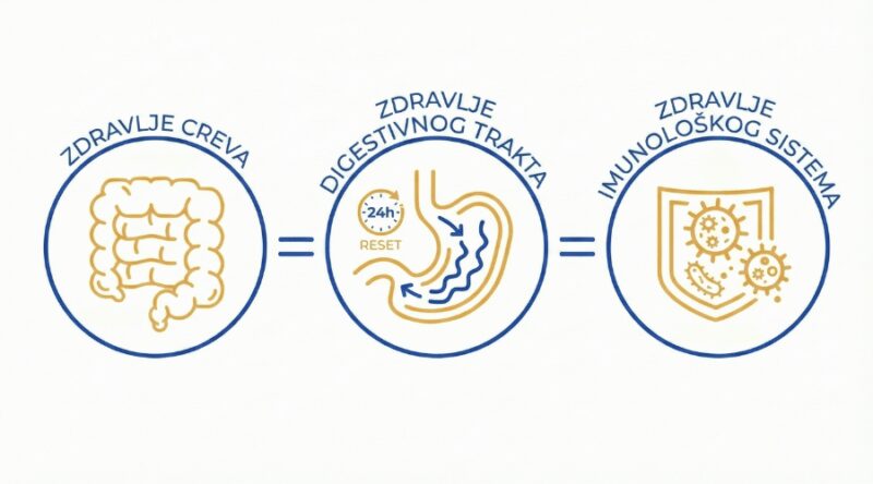 infografik koji prikazuje povezanost mikrobioma, 24-časovnog reseta digestivnog trakta i jačanja imunološkog sistema