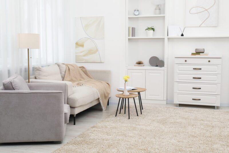 Dnevna soba sa svetlim nameštajem i tepihom standardne veličine koji povezuje prostor